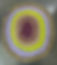 2024 logo masked 2.jpeg