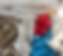 2024 logo masked 2.jpeg