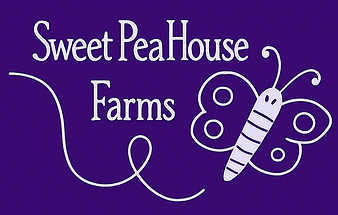 white and purple logo_edited.jpg