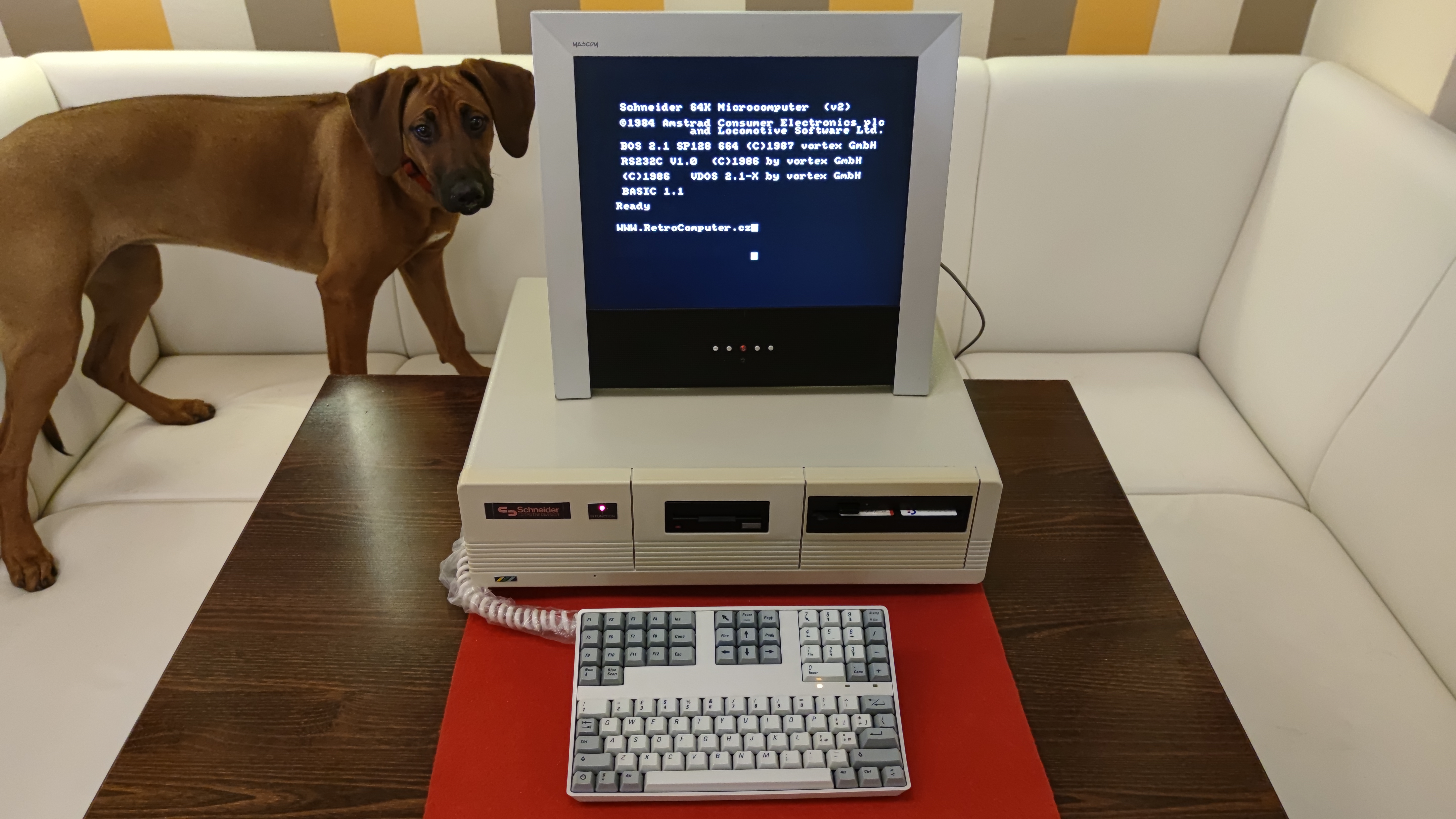 Schneider CPC 664 + Vortex SP-512 + BASF 6139 — Západní Německo, 1985.
