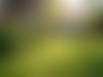 Essential Tips for Effective Estate Management in San Jose