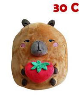 CAPYBERRY FRAGOLA