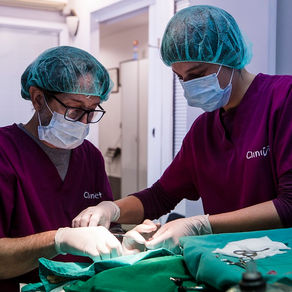 CLINIVET Clínica Veterinària