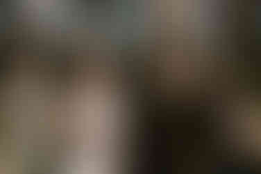 English wedding south of France