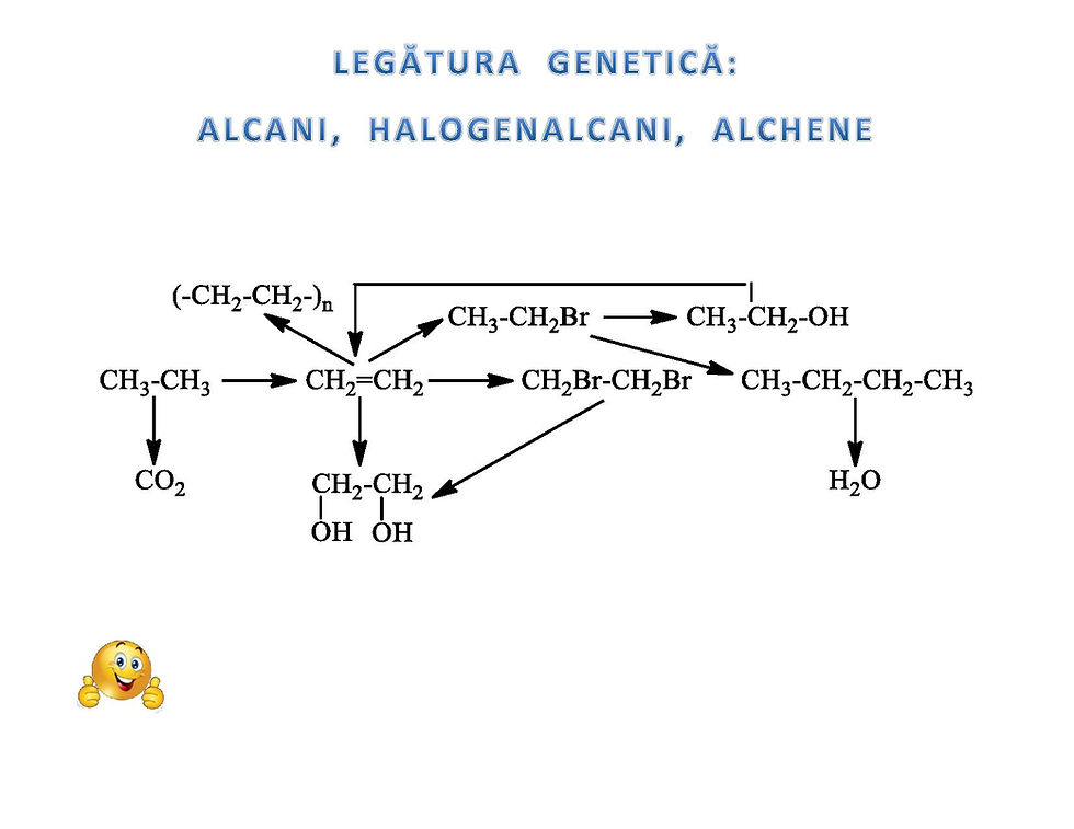Alcani, Halogenalcani, Alchene 1