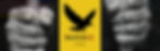 Raven 23 Movie Pitch Deck_edited_edited.jpg