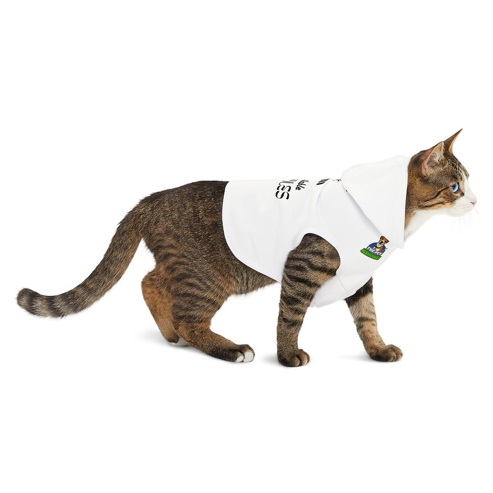 Thumbnail: Pet Hoodie — "Yes, I'm Cute" Funny Cuddles-Not-Available Dog & Cat Hoodie