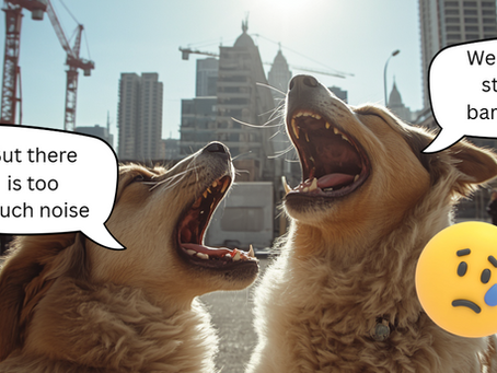 When the World Gets Louder: How Environmental Change Shapes Our Reactions to Barking