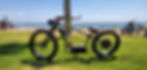 Huntington Beach Grass Pic 1.jpg