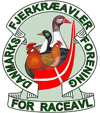 DFfR_Logo2grøn.jpg