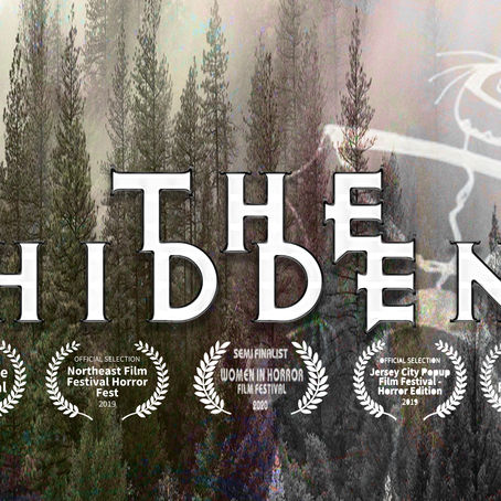 Search for THE HIDDEN