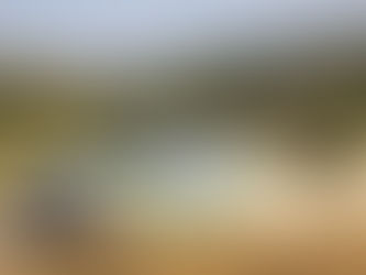 Inizia con Matteo Bergamo e dal Rally Tuscany la stagione 2024 della scuderia EASI nei rally.