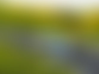 Una vittoria e un podio di classe per EASI al 37° Rally Piancavallo