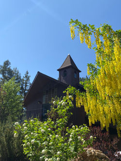 Truckee Church June