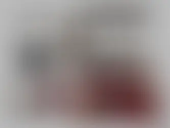 Novvvas - Mid Century Modern Living Room