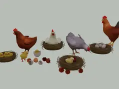Soloriya - Chickens Set A