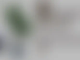 Pierisim - The Office Mini Kit