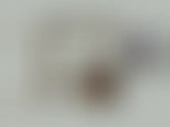 Ravasheen - Hang Around Closet Set - Pt.1