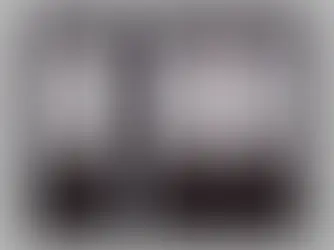 The Sims 4 Cats and Dogs - Clear Ol' Barn Door + Peacemaker-ic’s edit