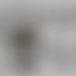 Ravasheen - Wicked Awesome Halloween Decor Set