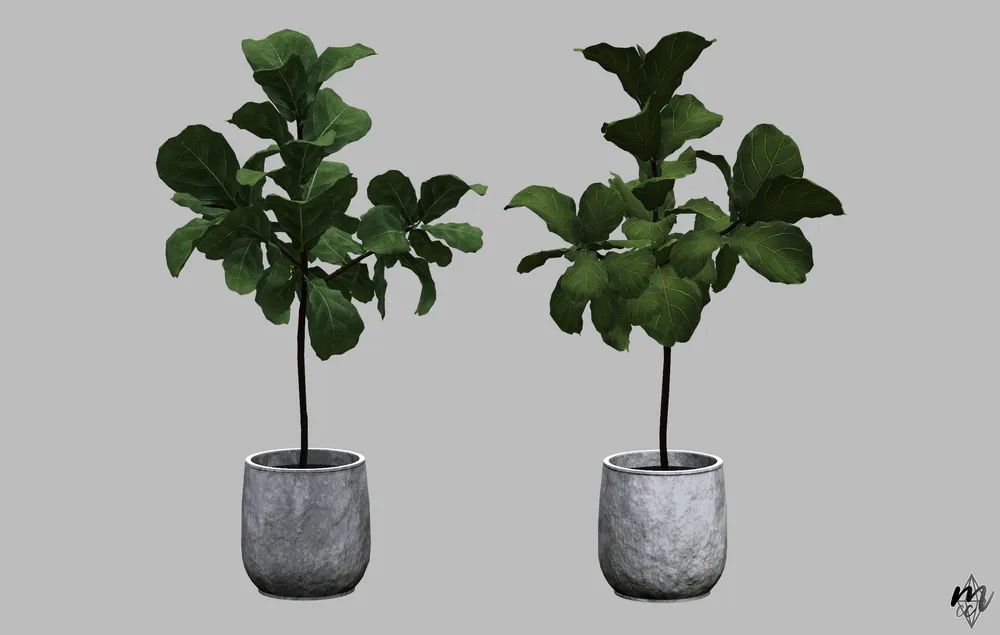 Pixelplayground Grand Faux Fiddle Leaf Fig Tree