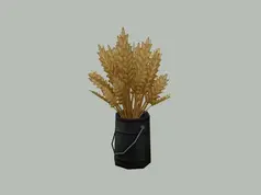 Ravasheen - Squash Goals | Bucket of Wheat