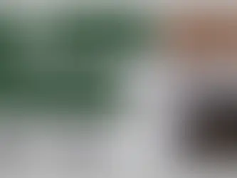 Wondymoon - Phlox Set | Part 1