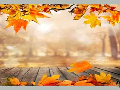 Caroll91 - Fall Mural 4