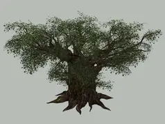 Syboulette - Tree of Love