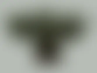 Syboulette - Tree of Love