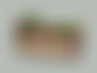 Oni28 - Cute Seasoning Storage