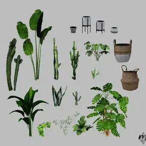 Novvvas - Planties | Pt. 1