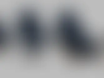 Pierisim - MCM House Part 1