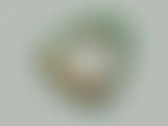 Fresh-Prince - Atelier Bookworm Bookcase