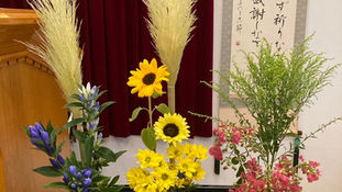 恐怖も神の祝福を止められない