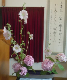 花材/庭に咲いた花々・たちあおい・紫陽花