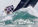 China Coast Regatta 2026 – Day 1