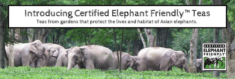 img-blog-Certified-Elephant-Friendly-Tea-1.jpg