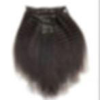 Thumbnail: SEAMLESS CLIP-INS