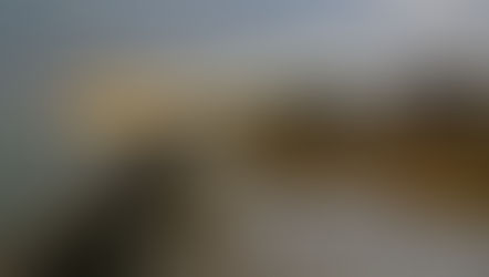 Heading South to the Texas Coast