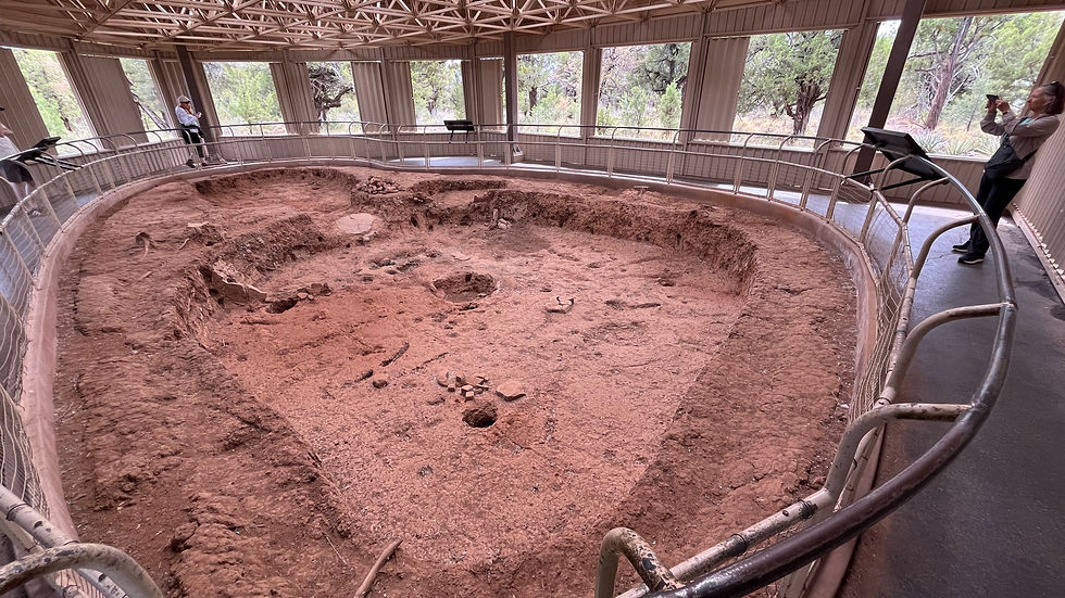 A shelter protects an excavated pithouse, an example of the earliest type of permanent dwelling built by Ancestral people on Mesa Verde.