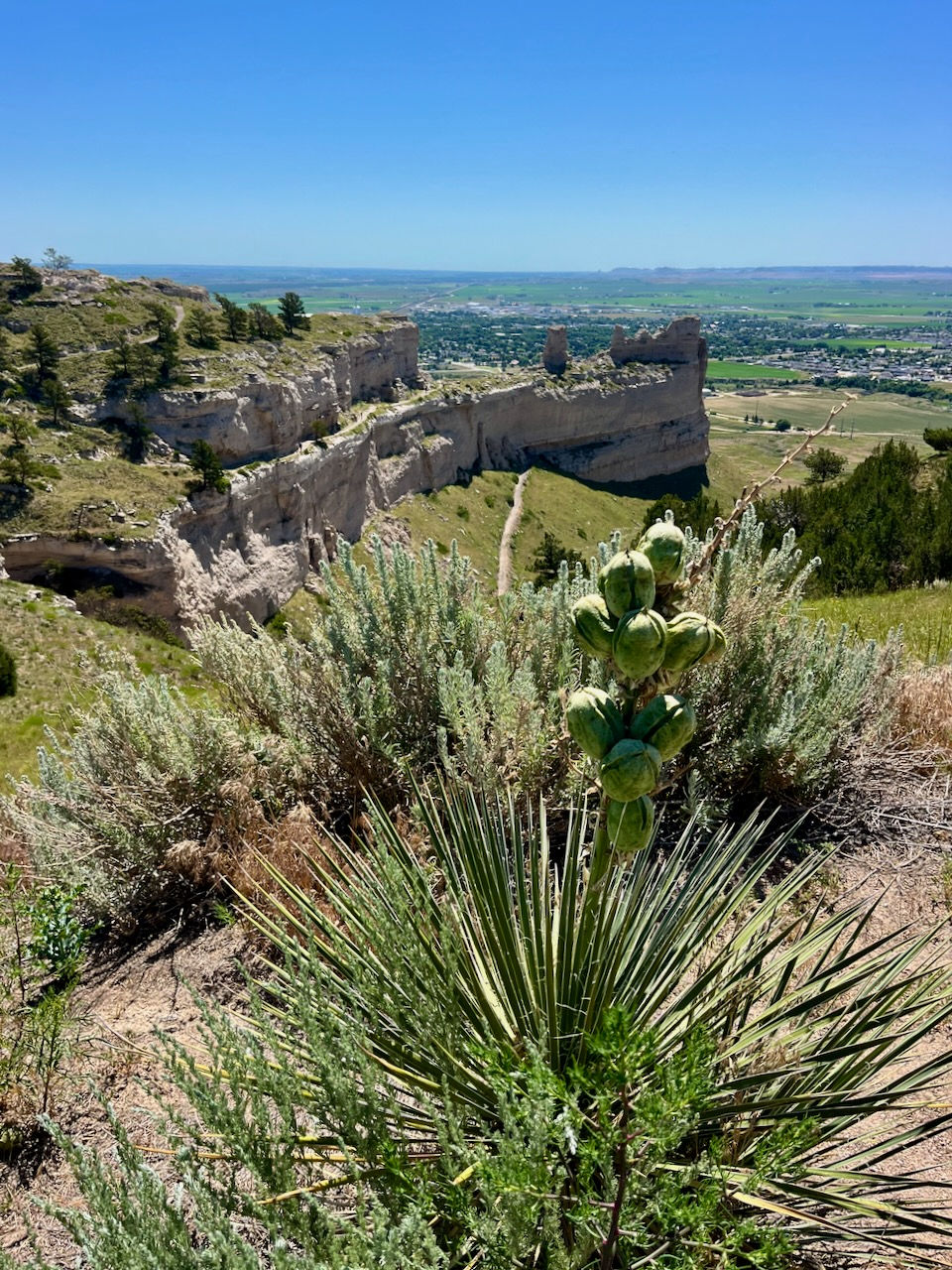 The Park Service built a road to the top of Scott's Bluff that provides an impressive and expansive 360º view. 