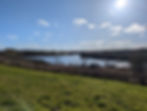 PXL_20250329_150047241.MP.jpg