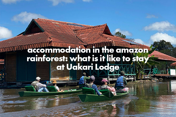 Accommodation in the amazon rainforest: what is it like to stay at Uakari Lodge
