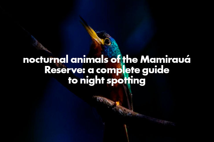 Nocturnal Animals of the Mamirauá Reserve: A Complete Guide to Night Spotting
