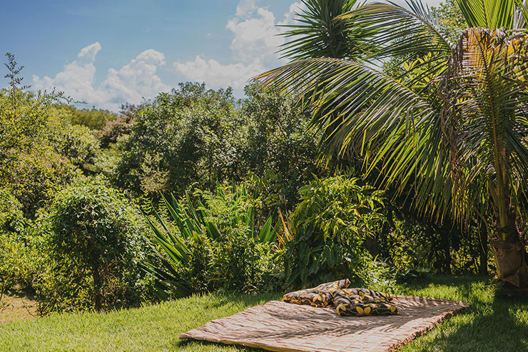 Imagem do Sítio Fotossíntese.
