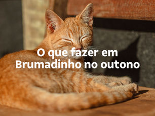 O que fazer em Brumadinho no outono