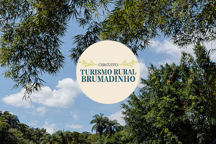 Imagem de árvore com logo do Circuito Turismo Rural.