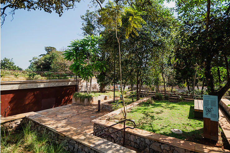 Imagem de paisagem do Córrego do Feijão.