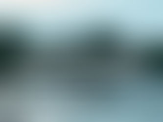 O que a Amazônia nos ensina: aprendizados de quem passa alguns dias na Reserva Mamirauá